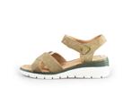 Ara Sandalen in maat 38 Groen | 10% extra korting, Verzenden, Sandalen of Muiltjes, Ara, Gedragen