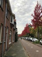 Kamer in Delft - 20m², Huizen en Kamers, Kamers te huur, 20 tot 35 m², Delft