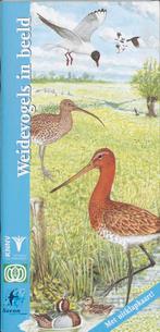 Weidevogels in beeld / In beeld / 1 9789050111898, Verzenden, Gelezen, J. van Gelderen