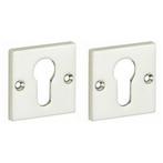 Set van twee PC-Plaatjes Bauhaus glans nikkel, Ophalen of Verzenden, Nieuw