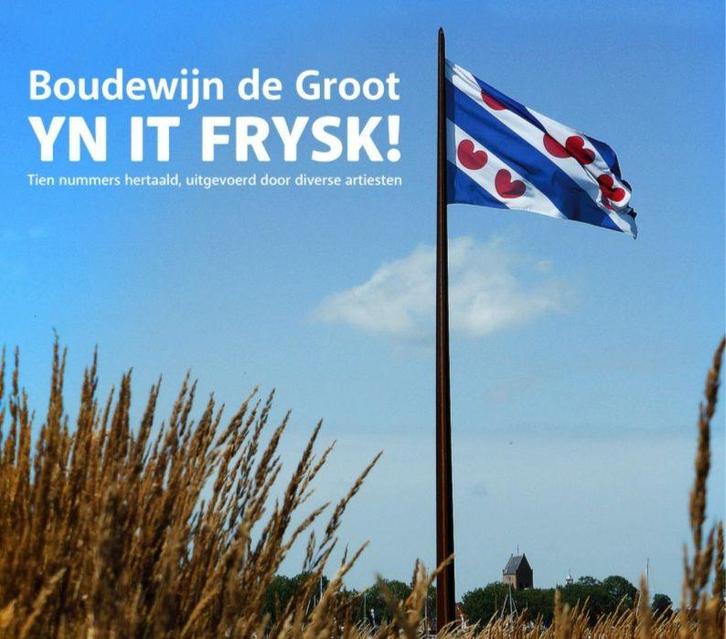 Boudewijn de Groot Yn It Frysk! - CD, Cd's en Dvd's, Cd's | Overige Cd's, Ophalen of Verzenden