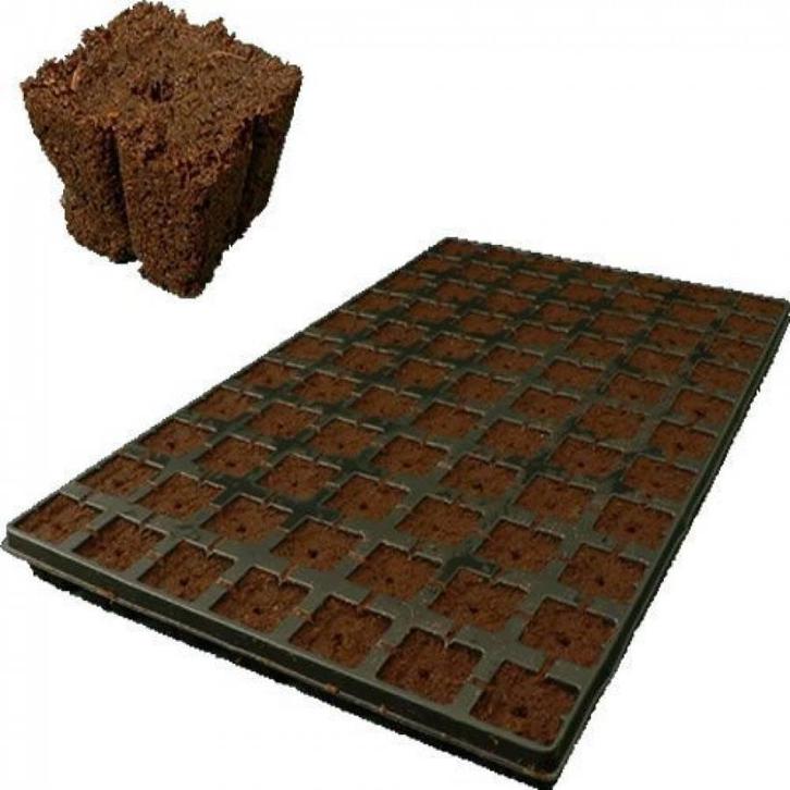 Eazy Plug 4x4 cm 77 st. p/tray, Tuin en Terras, Kweekspullen, Nieuw, Ophalen of Verzenden