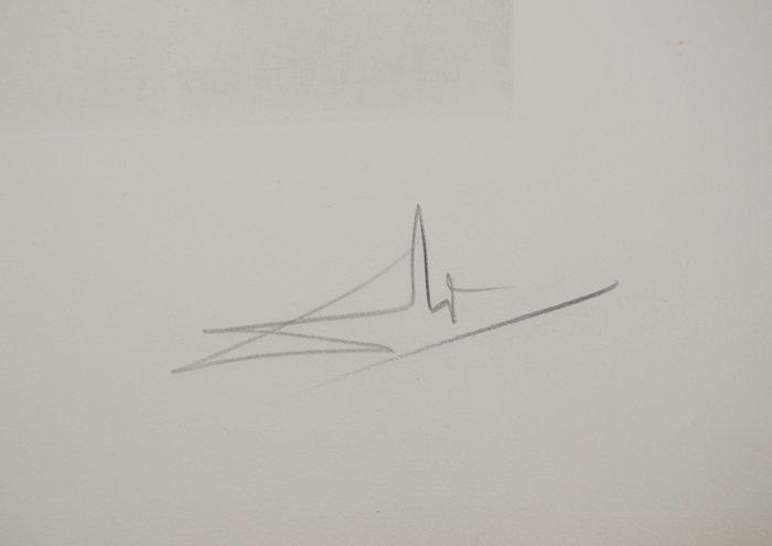 Salvador Dali (1904-1989) - Quevedo : Visage Mou et Béquille, Antiek en Kunst, Antiek | Overige Antiek