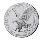 Verenigde Staten. 1 Dollar 2024 American Silver Eagle - Gold