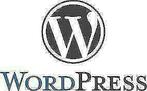 Professionele website-ombouw: Joomla (of ander CMS) naar WP, Webdesign