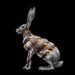cd - San Fermin - Jackrabbit, Verzenden, Zo goed als nieuw