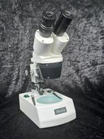 Motic binoculair stereomicroscoop met LED-verlichting -
