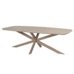 4 Seasons Prado tuintafel 300x110 cm - latte, Verzenden, Nieuw