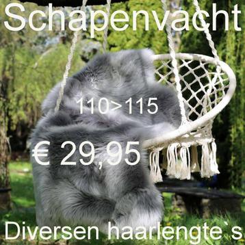 Schapenvacht Grijs GROOT ass. XL Grijze vachten € 29,95 TOP beschikbaar voor biedingen