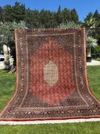 Zo goed als nieuw Indo Bidjar - Tapijt - 375 cm - 250 cm, Nieuw