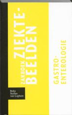 Zakboek ziektebeelden Gastro enterologie 9789031364596, Boeken, Studieboeken en Cursussen, Zo goed als nieuw