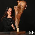 Fossiel > Woolly Mammoth Mammuthus primigenius Een, Antiek en Kunst