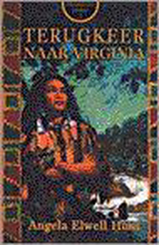 TERUGKEER NAAR VIRGINIA 9789029715256 HUNT, Boeken, Historische romans, Gelezen, Verzenden