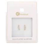 Kruidvat Gold Plated Silver 925 Oorbellen, Sieraden, Tassen en Uiterlijk, Oorbellen, Verzenden, Nieuw