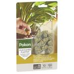 Kamerplanten voeding | Pokon | 10 stuks (Kegels), Verzenden, Nieuw