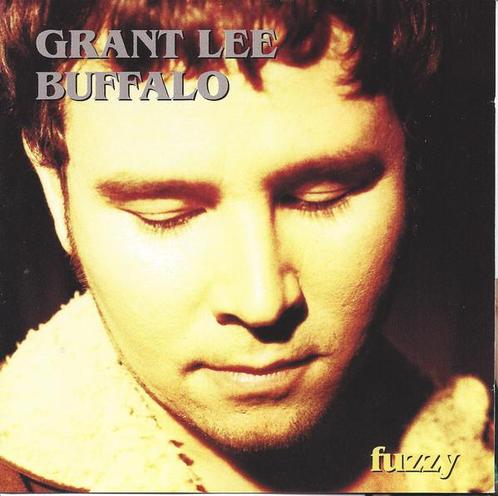cd - Grant Lee Buffalo - Fuzzy, Cd's en Dvd's, Cd's | Overige Cd's, Zo goed als nieuw, Verzenden