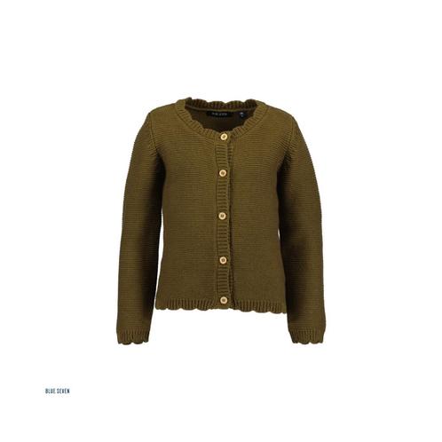 Vest - maten: 104, 110, 116, 122, 128, 92, 98 - Blue Seven, Kinderen en Baby's, Kinderkleding | Overige, Nieuw, Verzenden