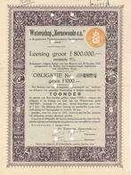 obligatie Waterschap  Eernewoude  - 1919, Ophalen of Verzenden, Obligatie of Lening, Voor 1920