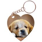 Sleutelhanger hartje 5x5cm - Golden Retreiver Pup op Houten, Ophalen of Verzenden, Nieuw