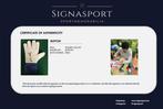 Juventus - Europese voetbal competitie - Gianluigi Buffon -, Verzamelen, Nieuw