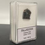 PALLASOVKA Pallasite TOPKWALITEIT HISTORISCHE METEORIET!!!!!
