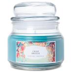 Colonial Candle - Classic - Crisp Breeze - soja geurkaars, Overige materialen, Nieuw, Kaars, Minder dan 25 cm