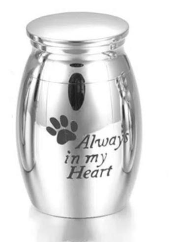 Mini urn always in my heart met pootafdruk hond / poes beschikbaar voor biedingen