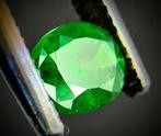 Groen Tsavoriet - 1.05 ct - International Jewellery & Gems, Nieuw