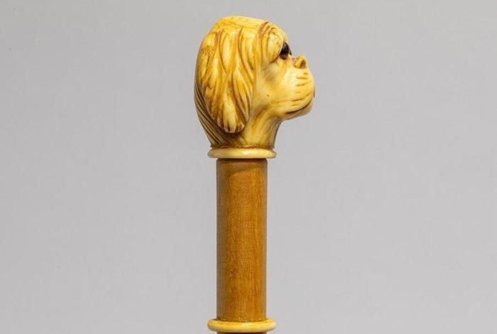 Carved Ivory Hunting Dog Wandelstok - 19th.C Carved Ivory, Antiek en Kunst, Antiek | Overige Antiek