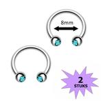Fako Bijoux® - Circular Barbell Piercing - Hoefijzer Kristal, Verzenden, Nieuw