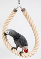 Speeltouw voor papegaaien – Zit- en speelplezier in één -, Dieren en Toebehoren, Verzenden, Nieuw