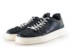 Bjorn Borg sneakers in maat 41 Blauw | 15% korting, Kleding | Heren, Sneakers of Gympen, Gedragen, Bjorn Borg, Verzenden