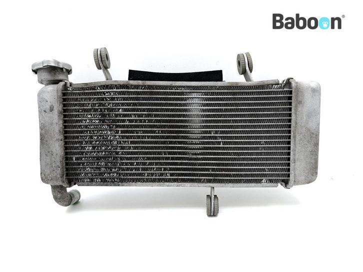 Radiateur Kawasaki Z 125 2021-2022 (Z125 BR125L), Motoren, Onderdelen | Kawasaki, Gebruikt, Verzenden