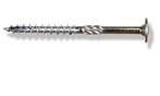 PFS Tellerkopschroef 6X260 Torx 100st, Doe-het-zelf en Verbouw, Nieuw, Rvs, Ophalen of Verzenden, Minder dan 50 mm