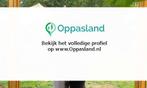Ik ben Maartje, 20 jaar oud en ik zoek oppaswerk in Ulft.