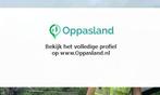 Ik ben Antonina, 25 jaar oud en ik zoek oppaswerk in Gron...