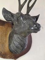 Edelhert Taxidermie replica montage - Hert - 37 cm - 20 cm -, Verzamelen, Nieuw