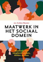 9789490463793 Maatwerk in het sociaal domein | Tweedehands, Verzenden, Zo goed als nieuw, Evelien Meester