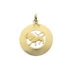 Fabiola gouden sterrenbeeld hanger; Leeuw (Hanger of bedel), Ophalen of Verzenden, Gebruikt, Goud, Overige merken