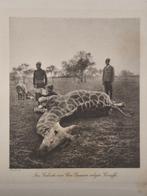 Hermann von Schrötter - Tagebuch einer Jagdreise an den