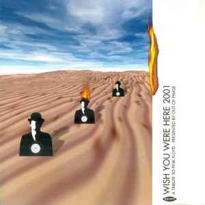 cd - Out Of Phase - Wish You Were Here 2001- A Tribute To..., Cd's en Dvd's, Cd's | Overige Cd's, Zo goed als nieuw, Verzenden