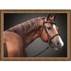 Bruin paard 2 80x60x3cm, Huis en Inrichting, Woonaccessoires | Schilderijen, Tekeningen en Foto's, Nieuw, Ophalen of Verzenden