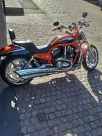 Harley-Davidson - V-ROD - VRSCSE2 - Screamin Eagle - 2006