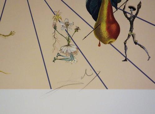Salvador Dali (1904-1989) - Flordali II : La Rose Papillon, Antiek en Kunst, Antiek | Overige Antiek