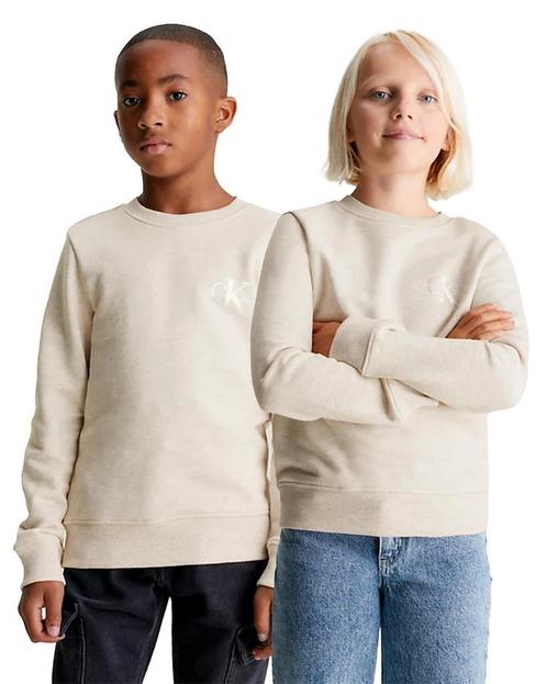 -20% Calvin Klein  Calvin Klein Sweater  maat 152, Kinderen en Baby's, Kinderkleding | Overige, Nieuw, Verzenden