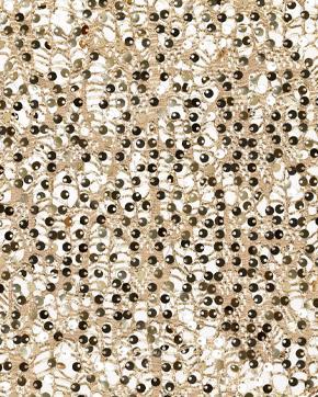 Glitter Kant Pailletten Goud beschikbaar voor biedingen