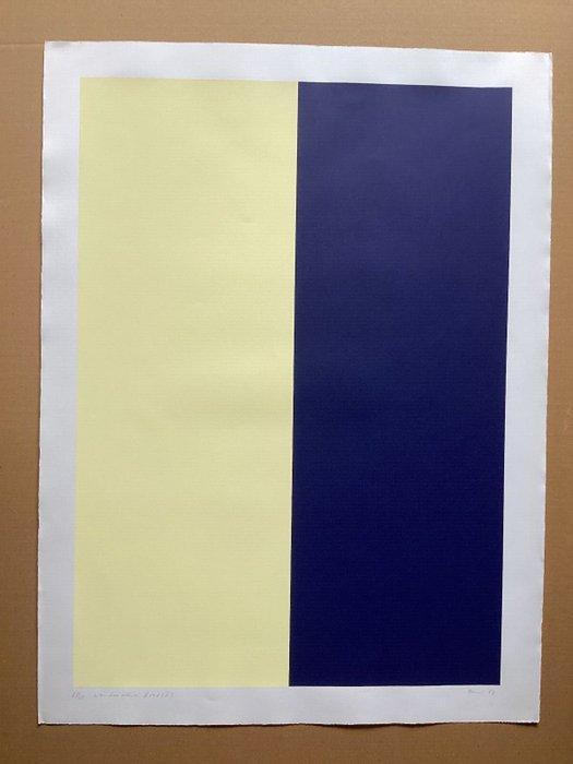 Günther Förg (1952-2013) - Wandmalerei Graz (Teil II), Antiek en Kunst, Antiek | Overige Antiek