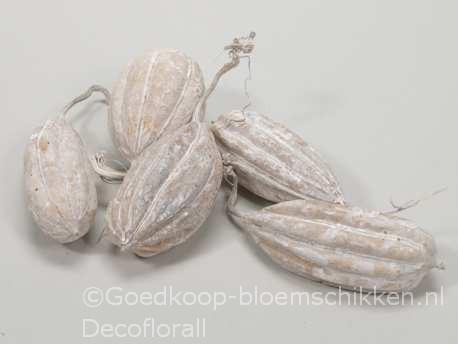 Jhinga fruit White Whash 10 st Zaaddozen, Hobby en Vrije tijd, Knutselen, Nieuw, Ophalen of Verzenden