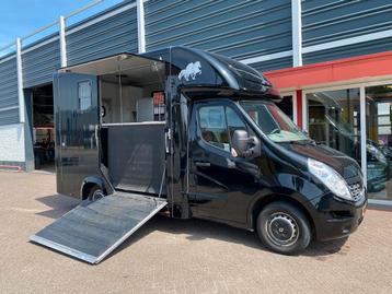 Paardenwagen / Horsetruck Robrise bouwjaar 2017 - 69350km beschikbaar voor biedingen