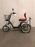 Driewiel scootmobielfiets | Van Raam Easy Go, Ophalen of Verzenden, Gebruikt, Overige merken, 11 t/m 15 km/u